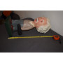 statue albert einstein