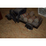 JOUET ANCIEN CIJ 6/15 CAMION RENAULT 5T CARBURANTS MECANIQUE 1950